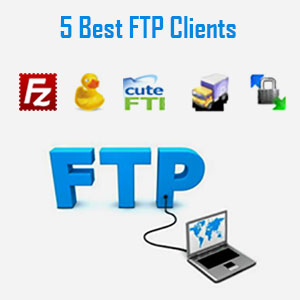 Web Developer Expert in FTP
