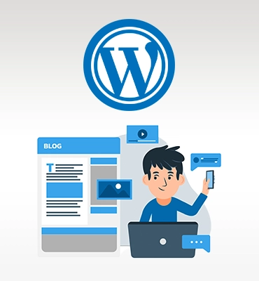 Wordpress Developer